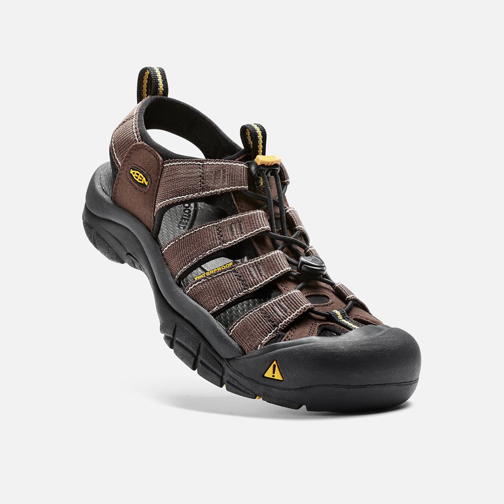 Sandales de Randonnée Keen Homme Marron/Noir | Newport H2 | IBKLR-1467